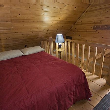 Galena Log Cabin Getaway Chambre photo